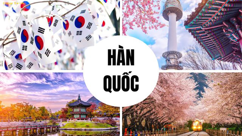Tuyển lao động Việt Nam