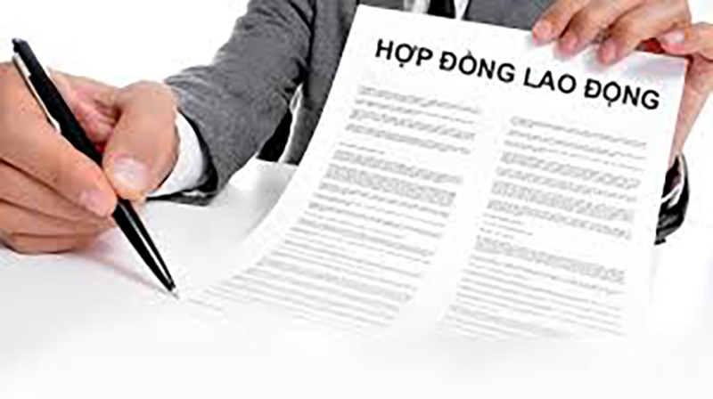 Hợp Đồng Xuất Khẩu Lao Động