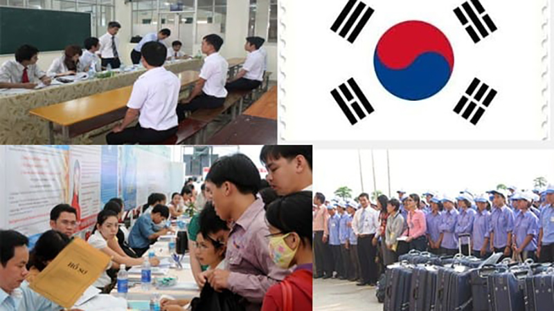 Làm Việc Ở Nhật Bản Và Hàn Quốc