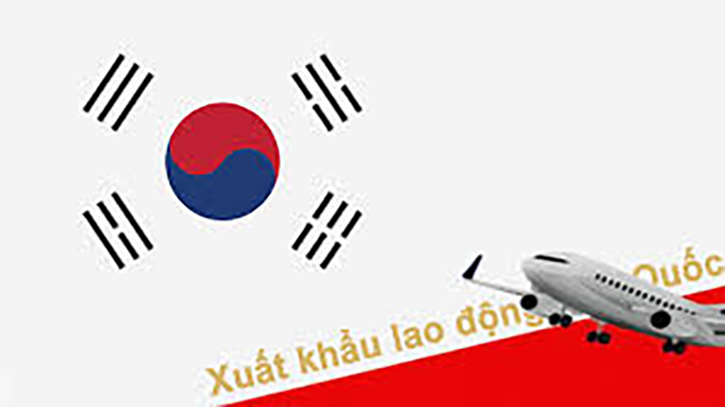 Người Lao Động Việt Ở Hàn Quốc