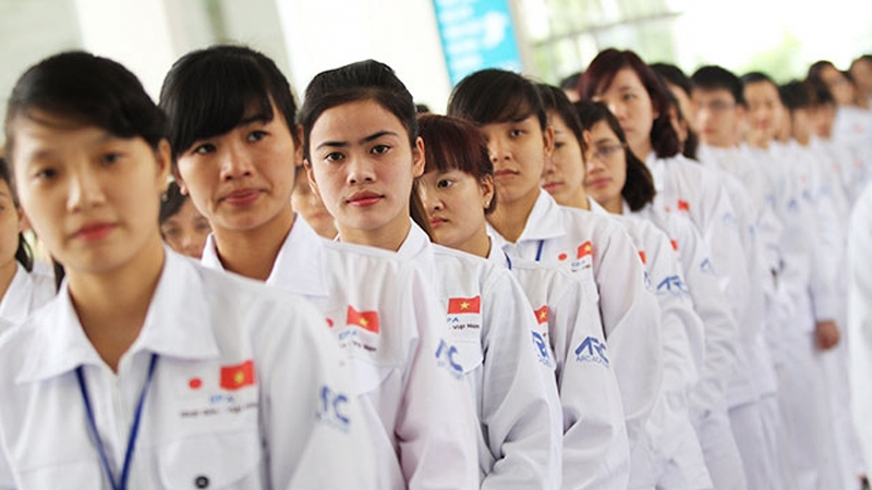 Rủi Ro Khi Đi XKLĐ
