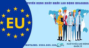 Làm Việc Tại Châu Âu